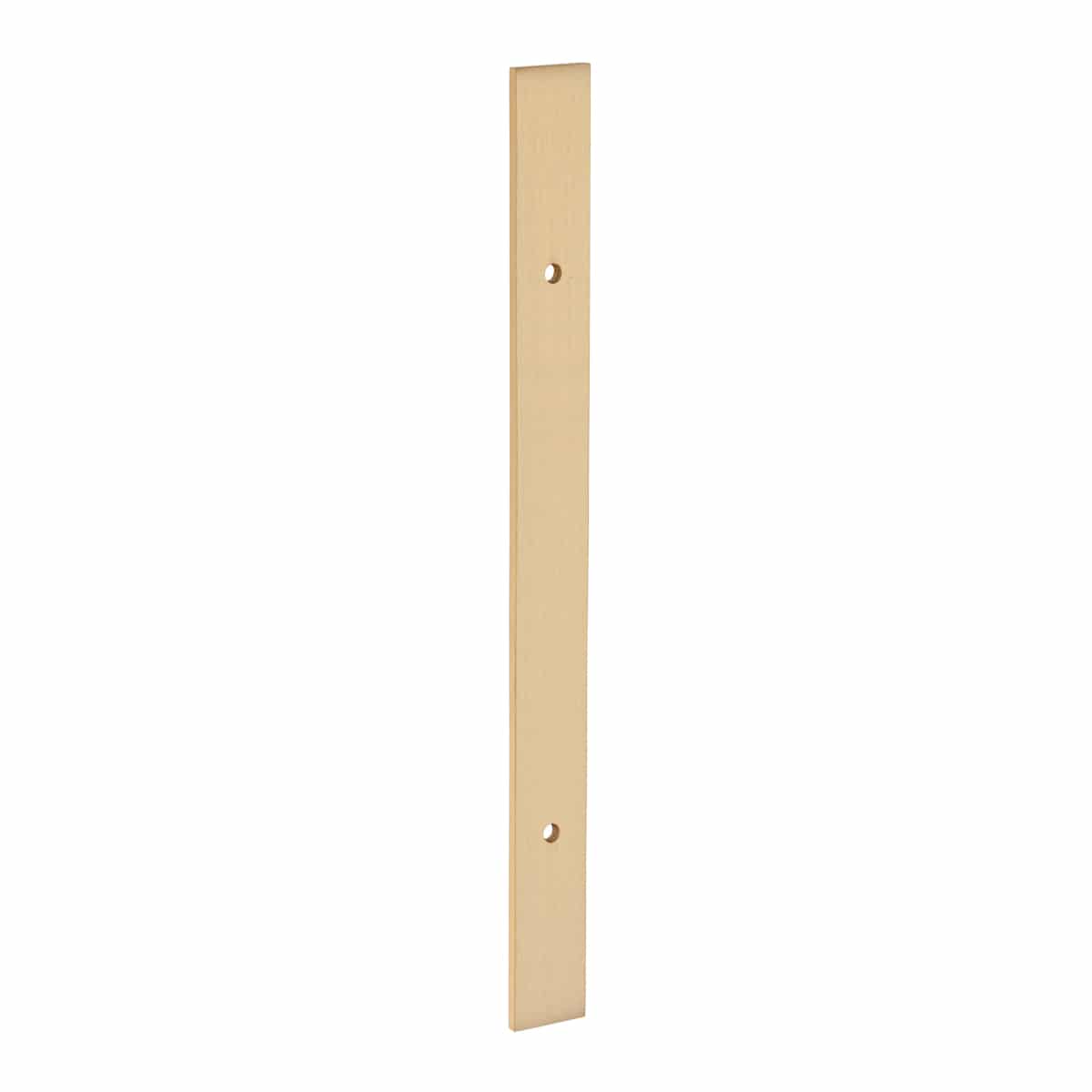 RECT BACKPLATE 220x20mm SATIN BRASS