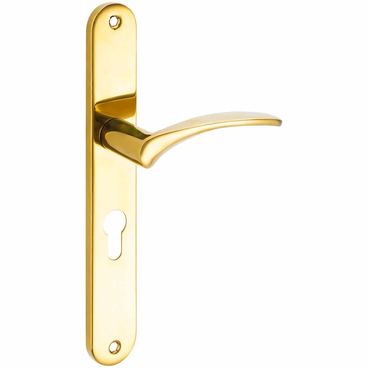 MOLO LEVER HANDLE ON BACKPLATE
