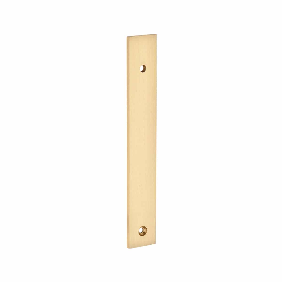 brushed brass plate handles