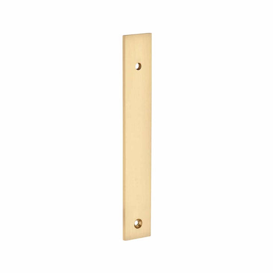 brushed brass plate handles