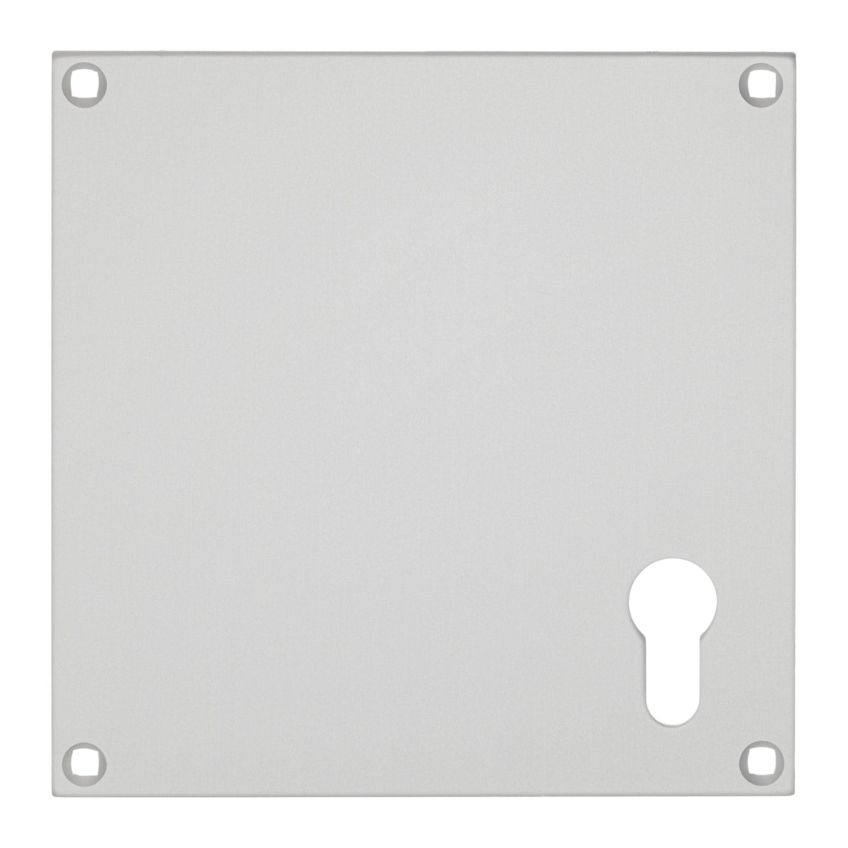 PUSH PLATE ALU WITH EURO C/O 150X150