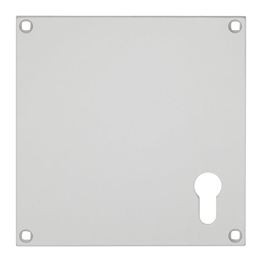 PUSH PLATE ALU WITH EURO C/O 150X150