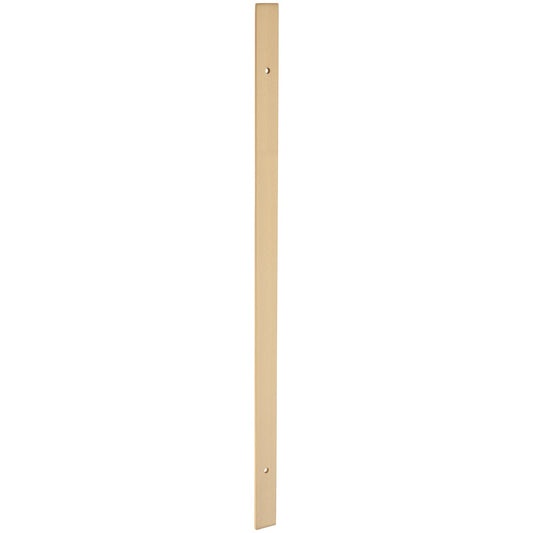 brushed brass plate handle