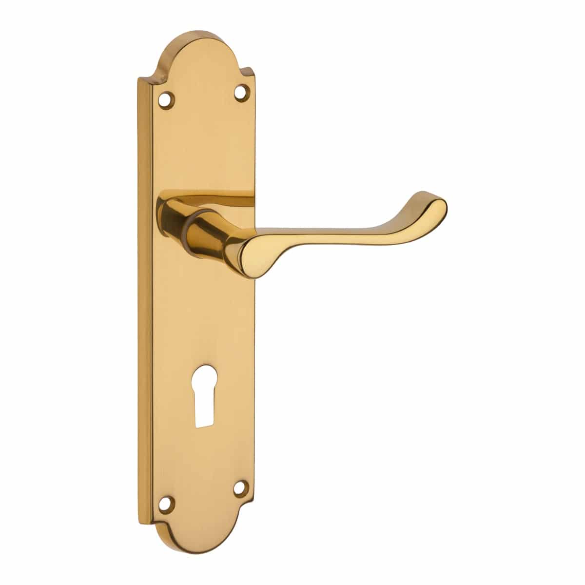 polished brass lever handle on backplate handles inc