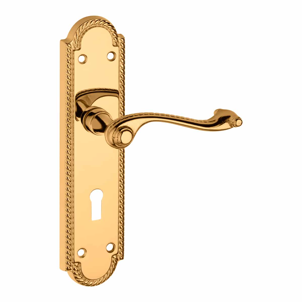 POLISHED BRASS LEVER HANDLE ON BACKPLATE