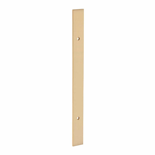 RECT BACKPLATE 220x20mm SATIN BRASS