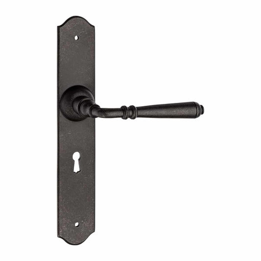 1025 LEVER HANDLE ON BACKPLATE